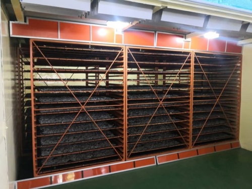 Trays of anchovies placed into dryer